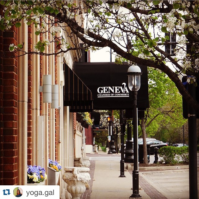 Downtown Geneva - Karen Muehlfelt